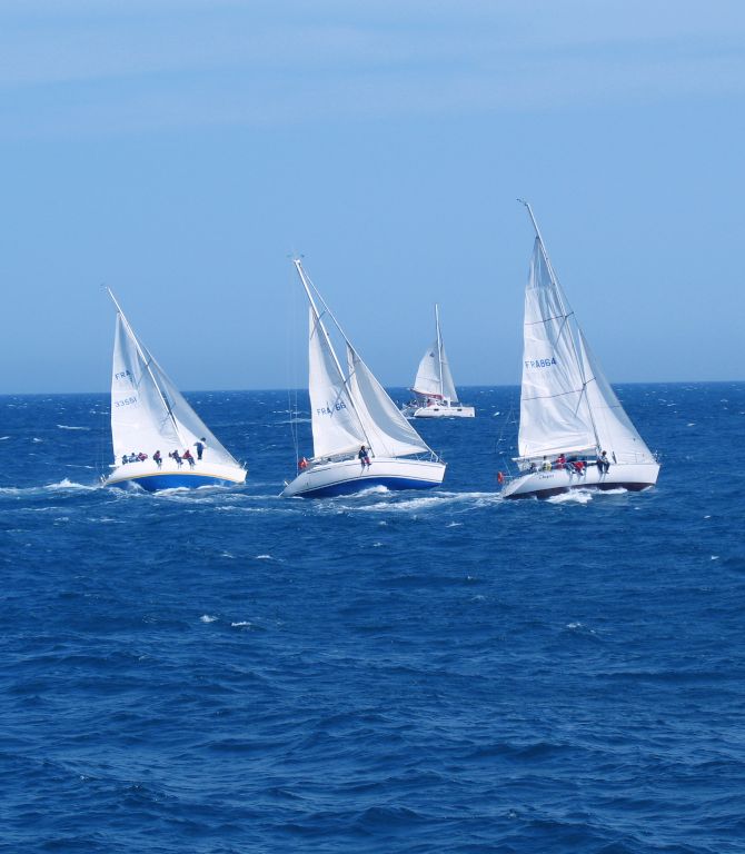 Tram Cup 2008
