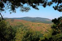 Parc national des Cvennes
