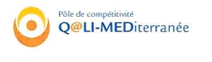 Q@LI-MEDiterrane