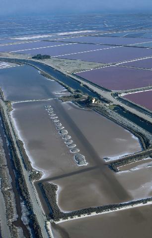 salins du midi