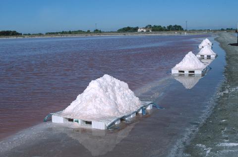 salins du midi